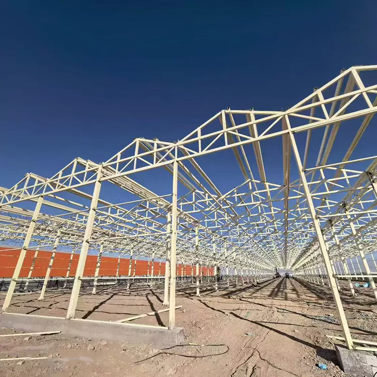 Napa Bingkai Gedhong Baja Galvanis minangka Pilihan Paling Apik kanggo Pertanian Modern